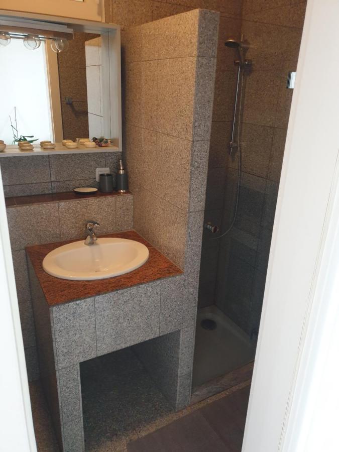 Messe Apartment Klagenfurt am Woerthersee Zewnętrze zdjęcie
